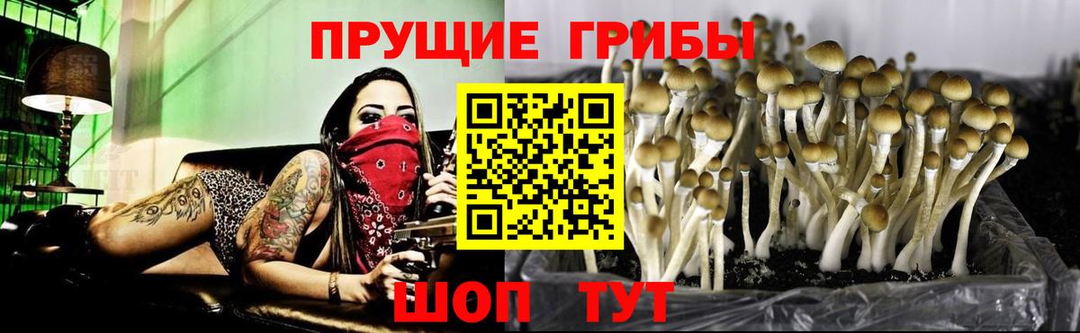 Галлюциногенные грибы мухоморы  Галлюциногенные грибы MAGIC MUSHROOMS  Сальск  Вход с VPN 