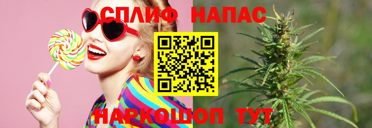 Бошки марихуана конопля Сальск